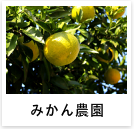 農業・みかん農園の事例へ
