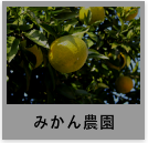 農業・みかん農園の事例へ
